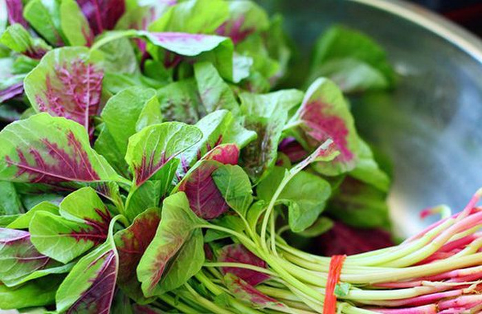 rau dền - thực phẩm bổ sung canxi