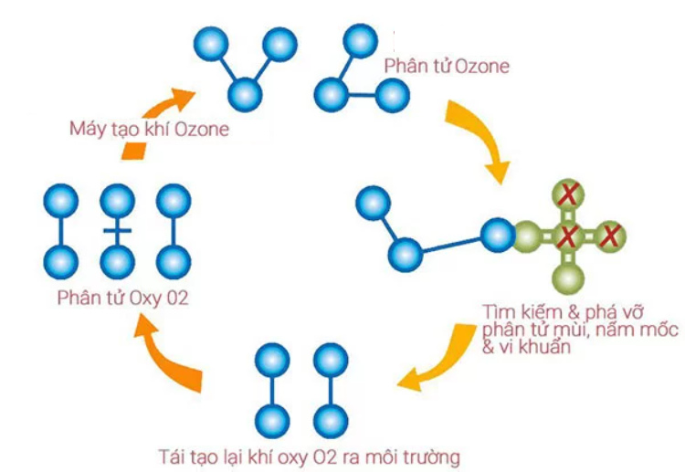 Quy trình công nghệ tạo khí Ozone khử khuẩn, khử độc