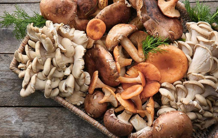 nấm - top thực phẩm giàu Protein